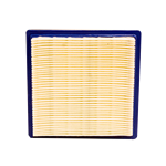 Arnold Replacement Air Filter 399877