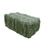 Bermuda Hay Bale, 50 lbs.