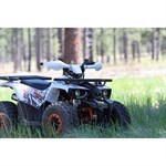 Coleman Powersports 125CC Youth ATV