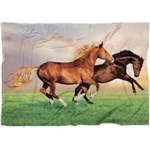 Mantolok Animal Themed Velvet Throw Blanket, Design May Vary