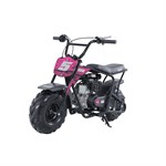 Coleman Powersports 98CC Mini Trail Bike