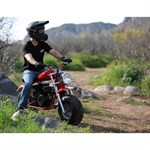 Coleman Powersports 196CC Trail Bike