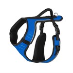 PetSafe EasySport Harness - Blue, L