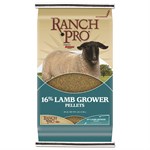 Ranch Pro 16% Lamb Grower Pellets, 40 lbs.