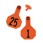 Ytex Numbered 2 Piece Tag, 3865, Orange, 25 count, 26 thru 50