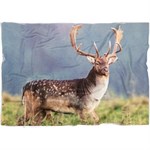 Mantolok Animal Themed Velvet Throw Blanket, Design May Vary