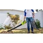 PowerVolt Cordless Leaf Blower