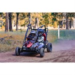 Coleman Powersports 196CC 2 Seat Go Kart