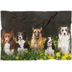 Mantolok Animal Themed Velvet Throw Blanket, Design May Vary