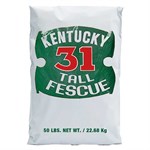 Kentucky 31 Tall Fescue Grass Seed, 50 lbs