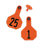 Ytex Numbered 2 Piece Tag, 3865, Orange, 25 count, 1 thru 25