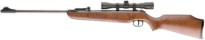 Ruger Air Hawk Pellet Rifle