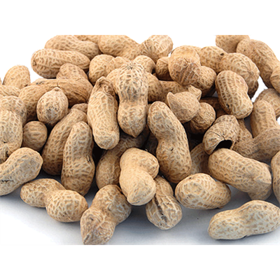 Atwoods Salted Peanuts in the Shell, Sold by the Pound