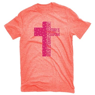 All I Need Today is Freedom and a Whole Lot of Jesus Short Sleeve Tee Shirt - 3XL