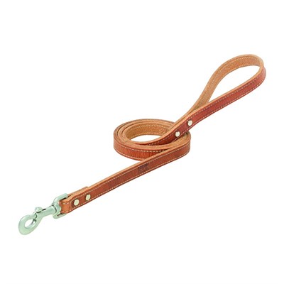 Terrain D.O.G. Harness Leather Dog Leash, 3/4-in X 6-ft