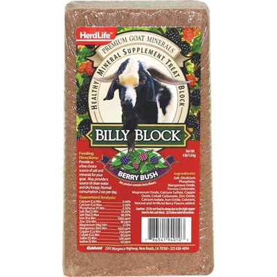 Evolved Habitats Billy Goat Berry Bush Mineral Supplement Treat Block, 4 lbs