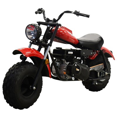 Massimo Motors Mini Bike 200