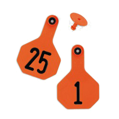 Ytex Numbered 2 Piece Tag, 3865, Orange, 25 count, 26 thru 50