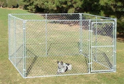 Davis Gate & Wire Chain Link Complete Dog Kennel, 10-ft x 10-ft x 6-ft