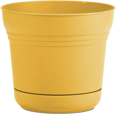 Bloem 5-in Saturn Planter with Saucer, Earthy Yellow