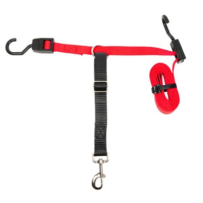 PetSafe Happy Ride Dog Zipline