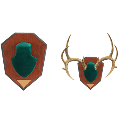 Allen Antler Mounting Kit, Green