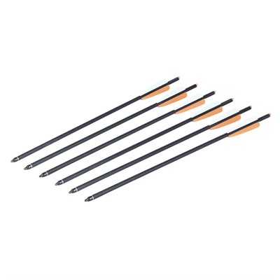 Crosman 20-in Cabon Crossbow Arrows, 6 pack