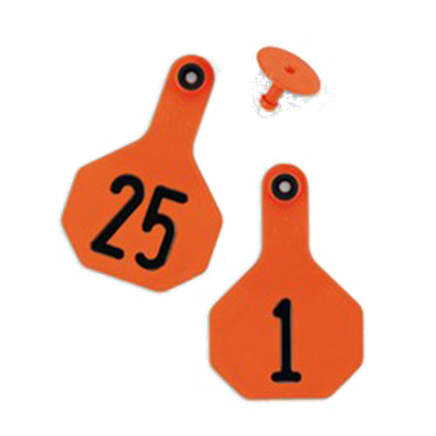 Ytex Numbered 2 Piece Tag, 3865, Orange, 25 count, 1 thru 25